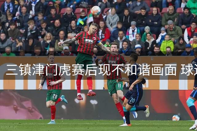 三镇津门虎赛后现不和谐画面 球迷过激行为引热议
