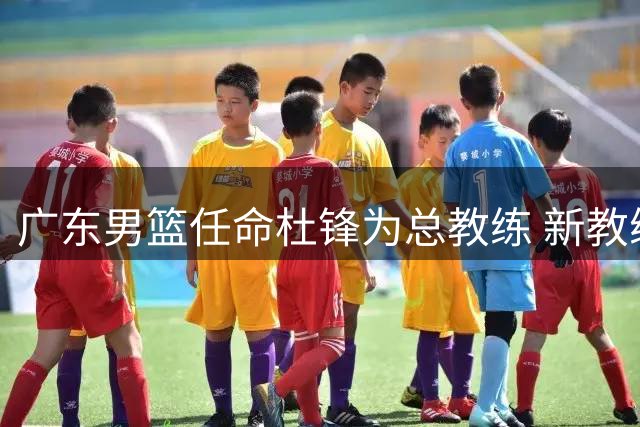 广东男篮任命杜锋为总教练 新教练组组建进行中